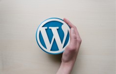 配合 wdCP 面板建设你的第一个 WordPress 网站