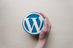 配合 wdCP 面板建设你的第一个 WordPress 网站