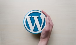 配合 wdCP 面板建设你的第一个 WordPress 网站