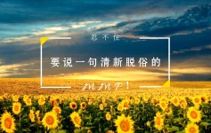 宕机,数据损坏,网站修复和迁移记录