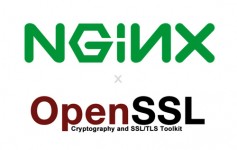 平滑升级 OpenSSL 和 Nginx,并启用 TLS1.3