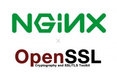 平滑升级 OpenSSL 和 Nginx，并启用 TLS1.3